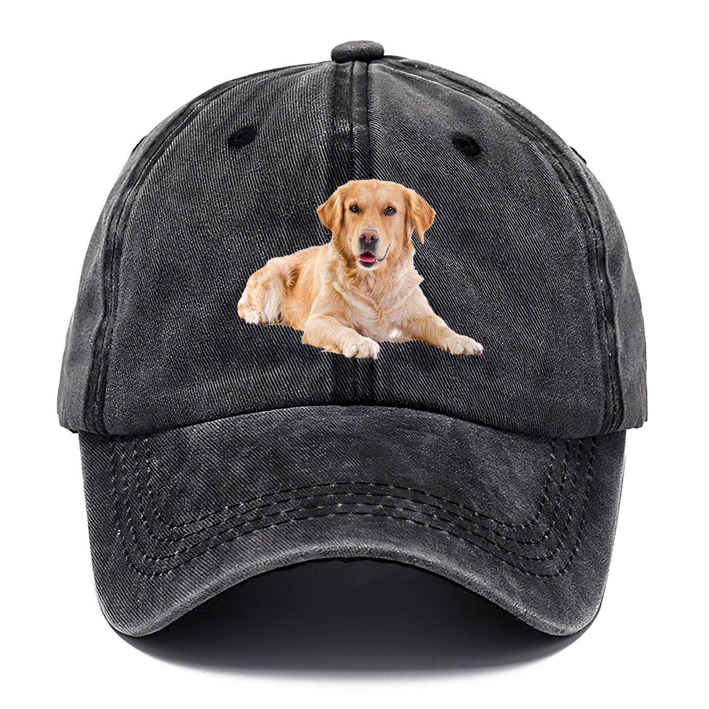 Golden™ | Retriever Laying | Graphite | Toronty Ottawa
