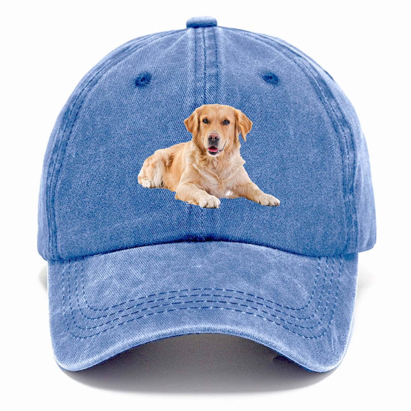 Golden™ | Retriever Laying | Summer Sky(Blue) | Toronty Ottawa