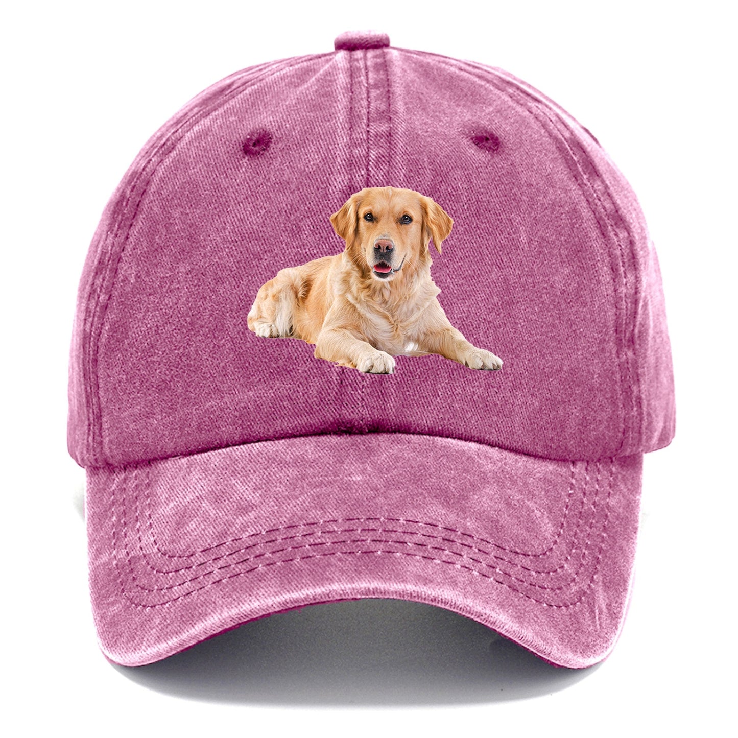 Golden™ | Retriever Laying | Dusty Rose(Rose) | Toronty Ottawa