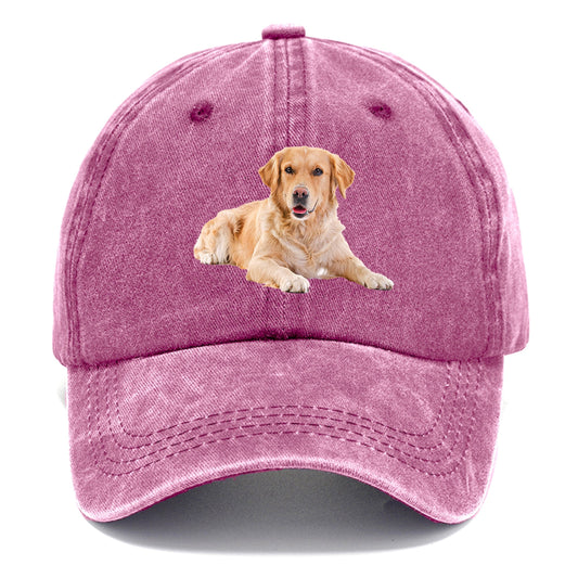 Golden™ | Retriever Laying | Dusty Rose(Rose) | Toronty Ottawa