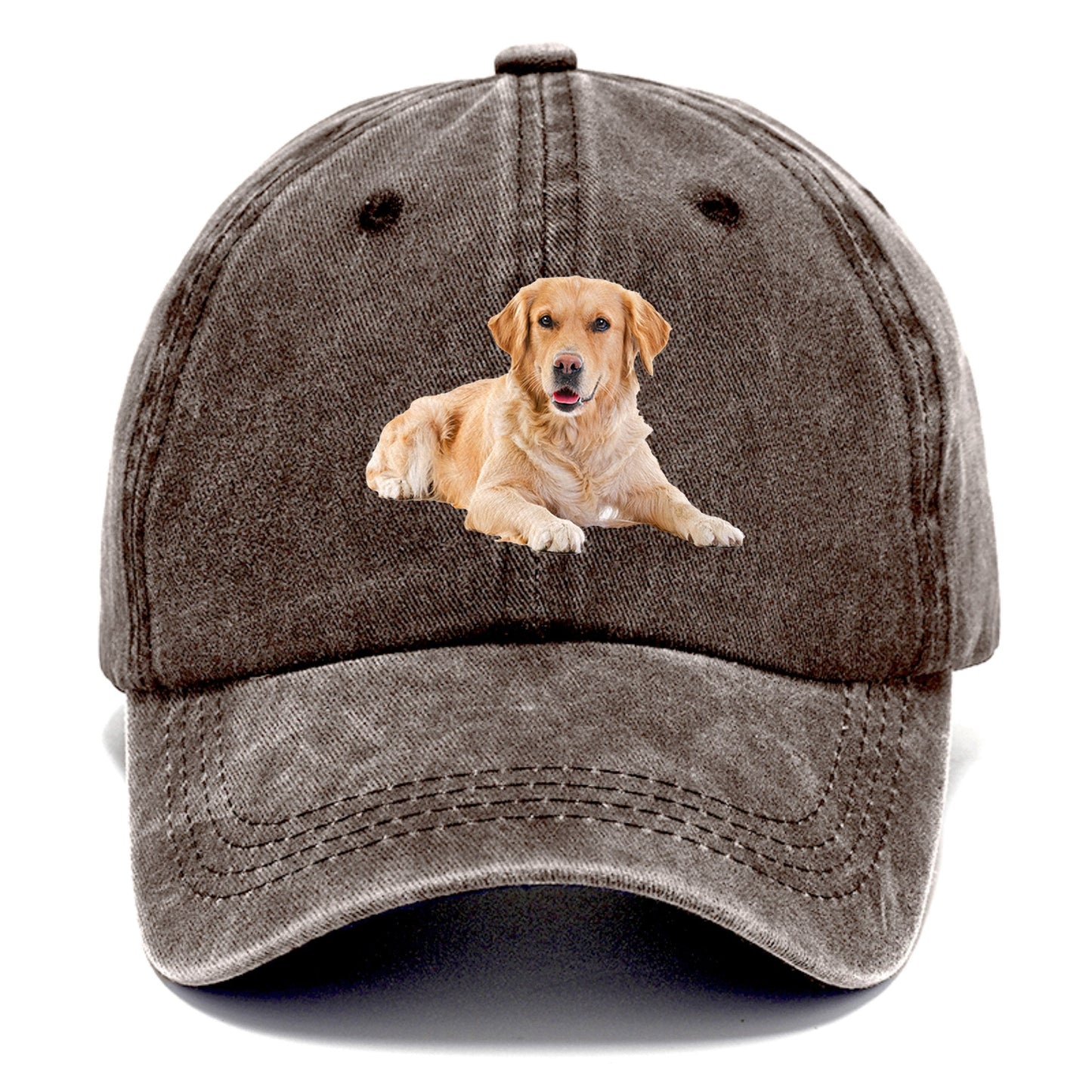 Golden™ | Retriever Laying | Brown | Toronty Ottawa